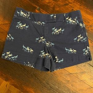 Loft shorts/ flamingo 🦩